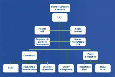 org structure2